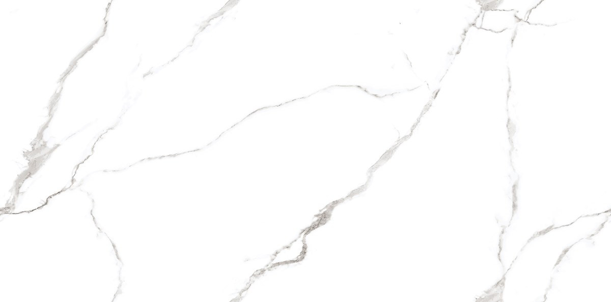 ARIA WHITE F1  