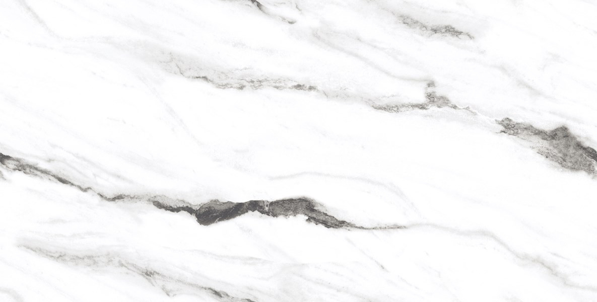 SENET WHITE  