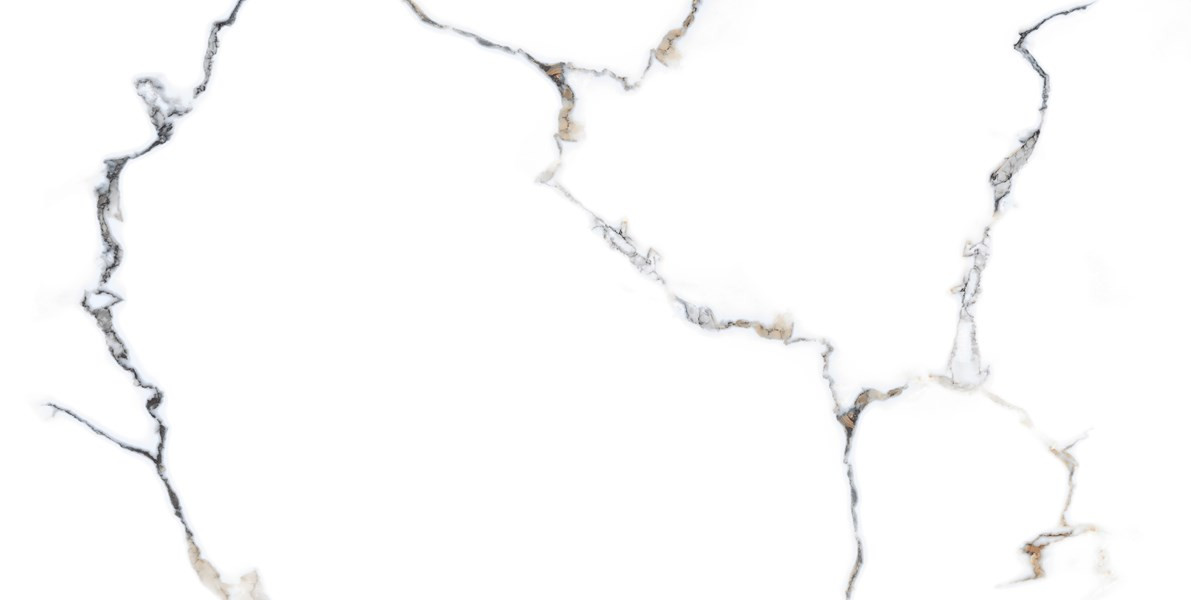 PACIFIC WHITE  